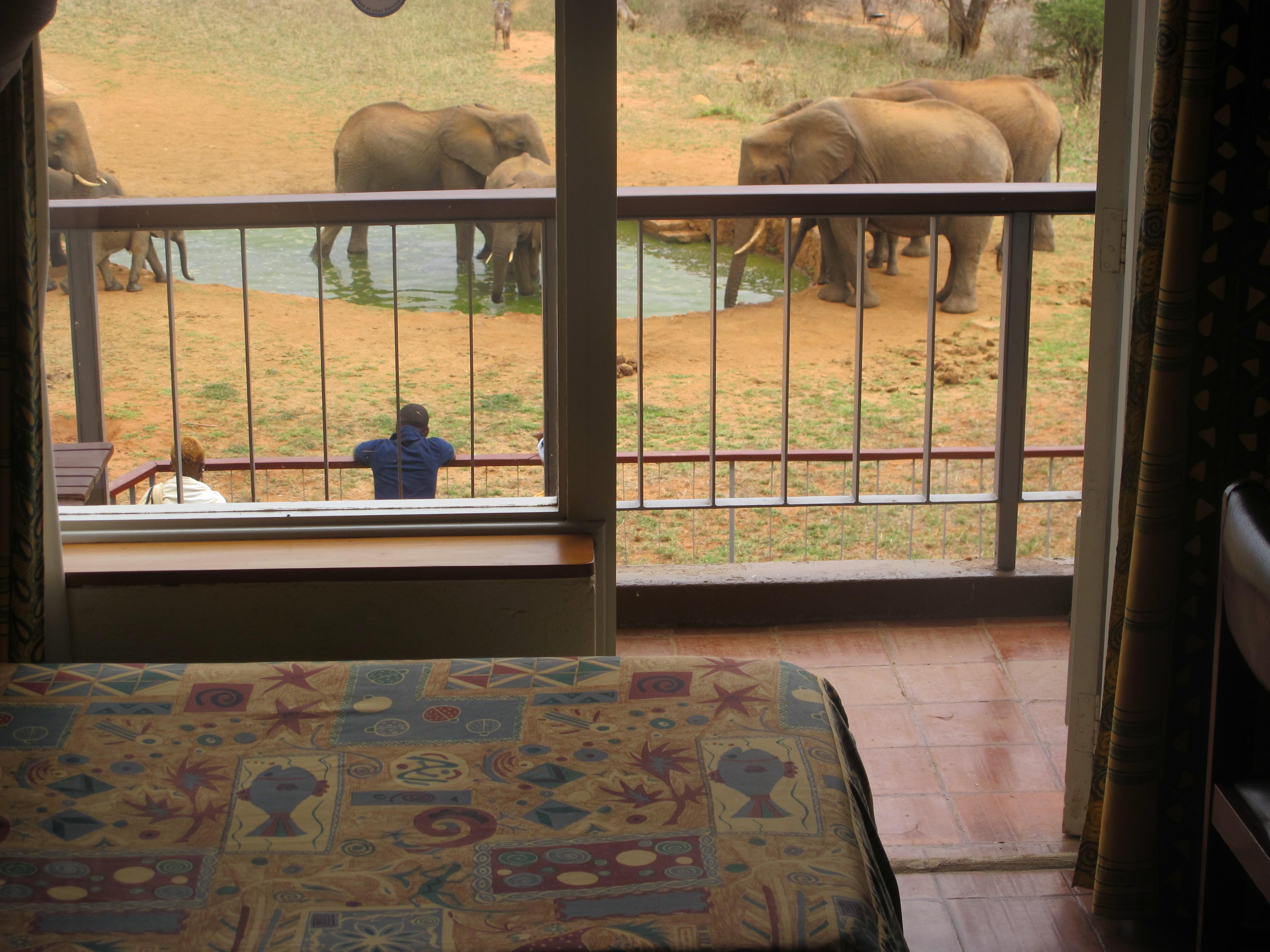 Ngulia Safari Lodge Tsavo Εξωτερικό φωτογραφία