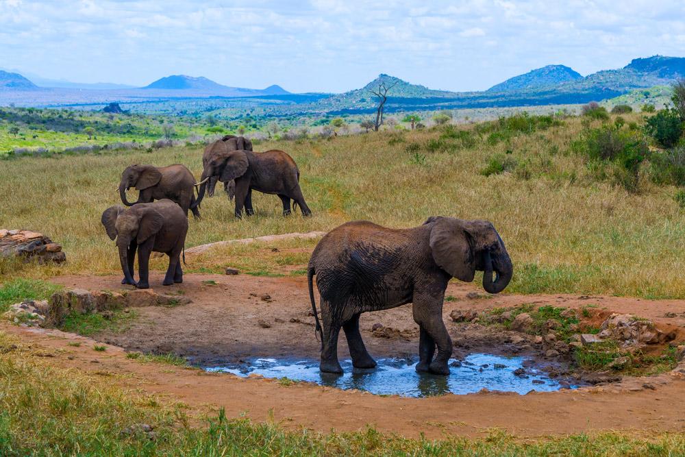 Ngulia Safari Lodge Tsavo Εξωτερικό φωτογραφία