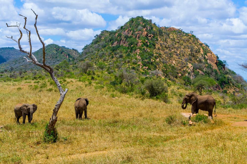 Ngulia Safari Lodge Tsavo Εξωτερικό φωτογραφία
