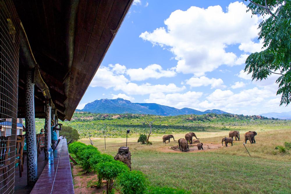 Ngulia Safari Lodge Tsavo Εξωτερικό φωτογραφία