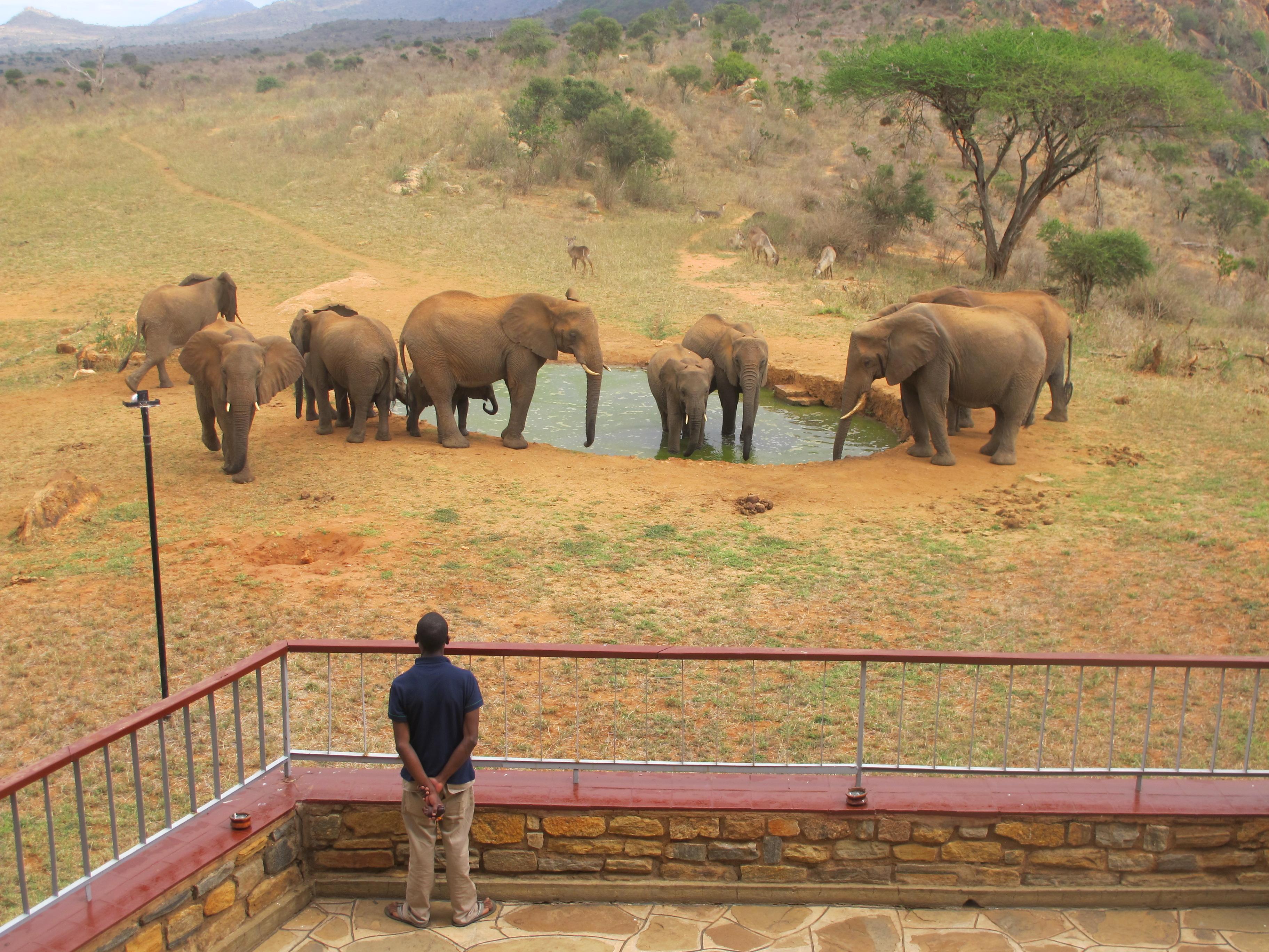 Ngulia Safari Lodge Tsavo Εξωτερικό φωτογραφία